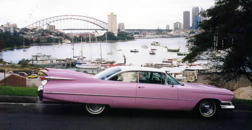 Name: pink59.jpg
Views: 50
Size: 21.7 KB