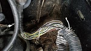 The "What did you do to your Ranger today" thread-20180217_155515-%5B800x600%5D.jpg