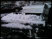 first winter-img_5164.jpg