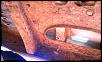 Frame rust..-imag0967.jpg
