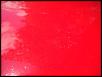 My Paint Sucks-dsc00592.jpg