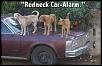 good news/bad news-redneck_car_alarm.jpg