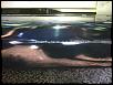 Replacing Rear Bumper Trim Piece-img_0562_zps3ec76877.jpg