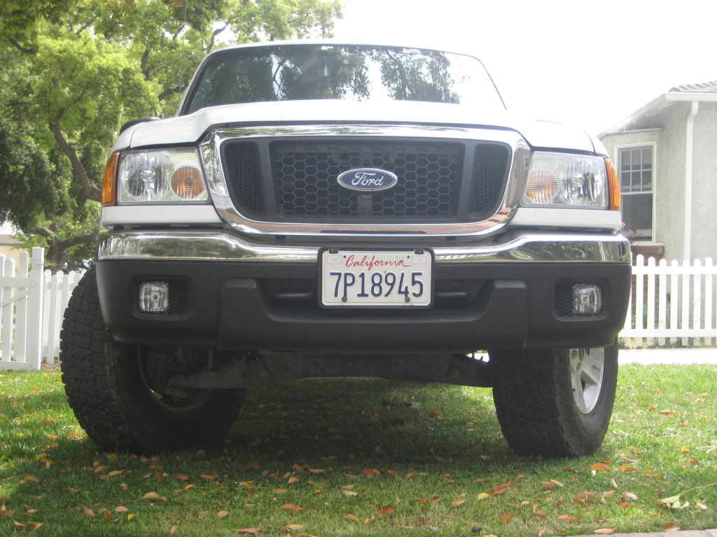 Name:  newfogs3.jpg
Views: 179
Size:  157.5 KB