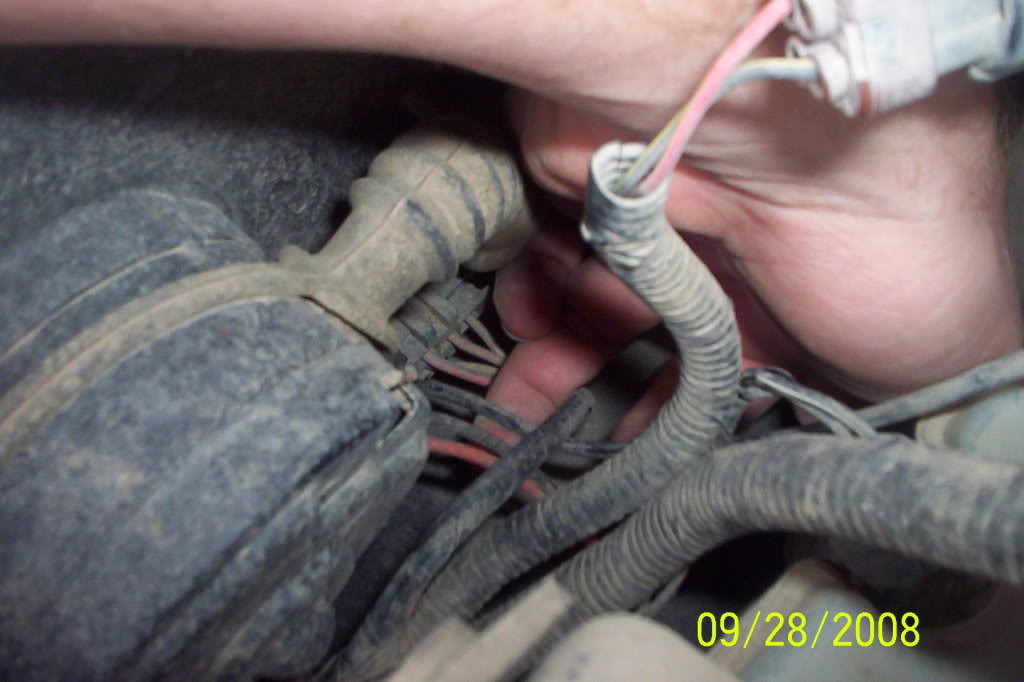 Name:  Picture032.jpg
Views: 29566
Size:  72.4 KB