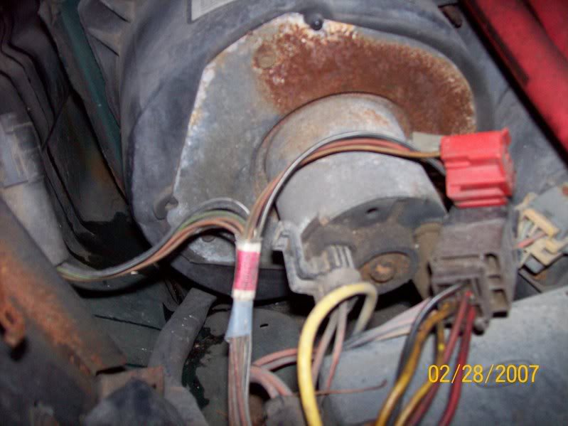 Name:  100_1372.jpg
Views: 2689
Size:  59.2 KB