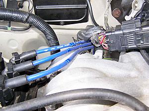 Routing for spark plug wiring ?-100_2010.jpg