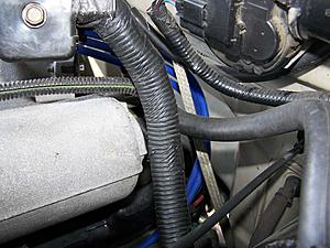 Routing for spark plug wiring ?-100_2011.jpg