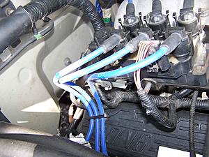 Routing for spark plug wiring ?-100_2014.jpg