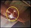 Fuel Filler neck.-gas-leak2.jpg