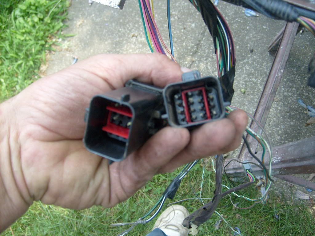 Name: Picture005.jpg
Views: 1980
Size: 161.5 KB