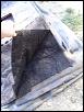 Took out my carpet-s5030166.jpg