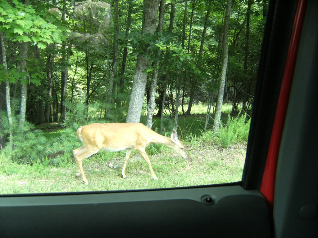 Name: DSCF3189.jpg
Views: 61
Size: 185.5 KB