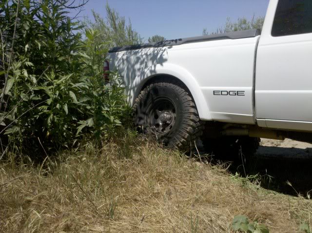 Name: 075569a4.jpg
Views: 495
Size: 105.0 KB