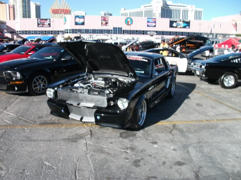 Name: DSCF4282800x600.jpg
Views: 30
Size: 83.6 KB