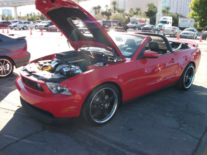 Name: DSCF4287800x600.jpg
Views: 43
Size: 69.0 KB