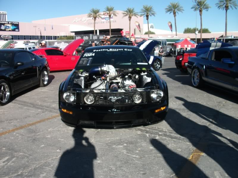Name: DSCF4289800x600.jpg
Views: 38
Size: 82.7 KB