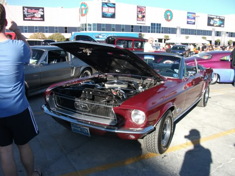 Name: DSCF4291800x600.jpg
Views: 30
Size: 87.0 KB