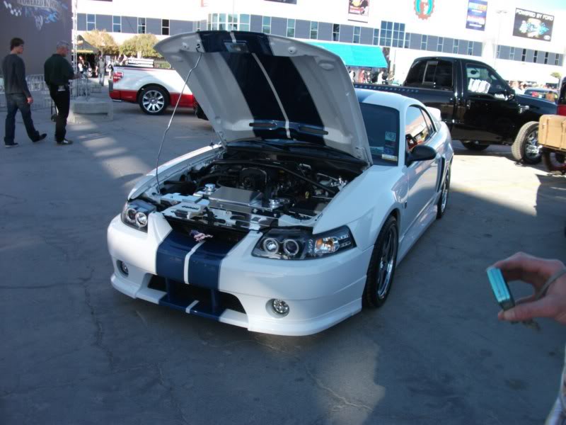Name: DSCF4292800x600.jpg
Views: 27
Size: 66.5 KB