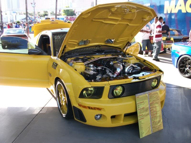 Name: DSCF4232800x600.jpg
Views: 34
Size: 76.6 KB