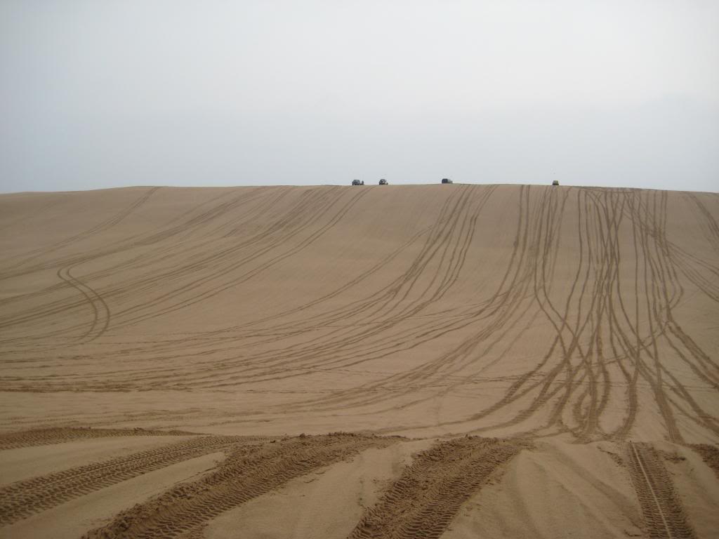 Name:  Dunes08-08-09006.jpg
Views: 67
Size:  61.3 KB