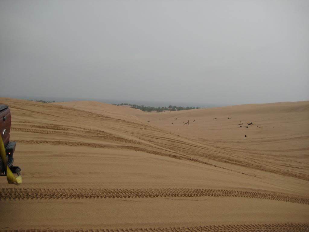 Name:  Dunes08-08-09007.jpg
Views: 66
Size:  50.0 KB