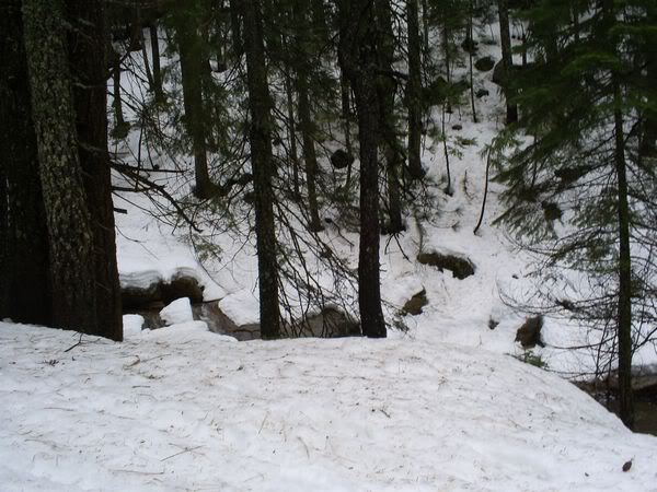 Name:  tn_S5032293.jpg
Views: 53
Size:  63.5 KB