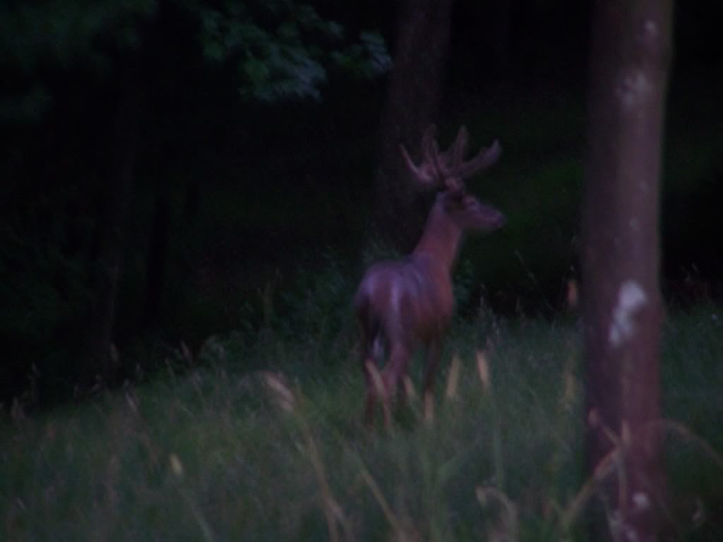 Name: 100_0761.jpg
Views: 39
Size: 43.5 KB