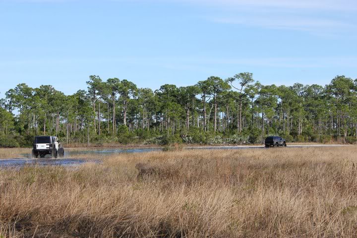 Name: 167710_179844032047583_105405666158087_484226_335934_n.jpg
Views: 129
Size: 82.6 KB