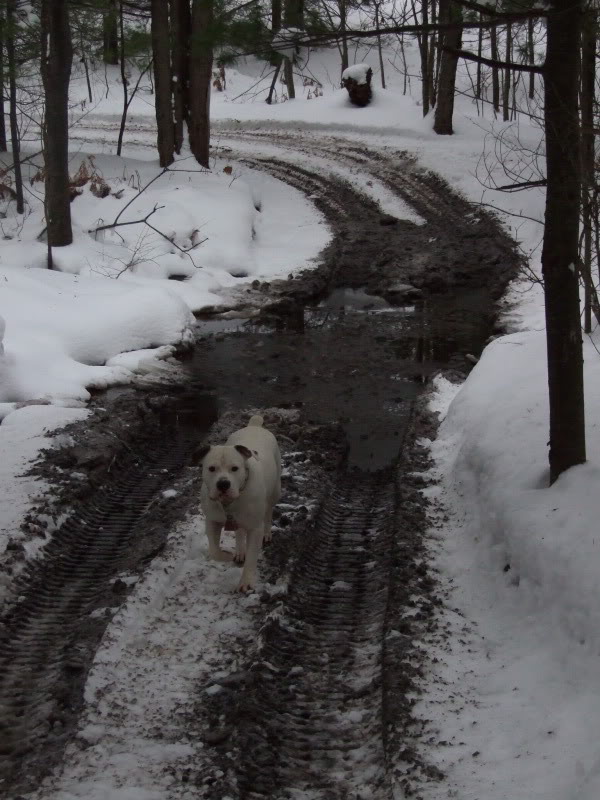 Name: DSCF1448.jpg
Views: 39
Size: 112.4 KB
