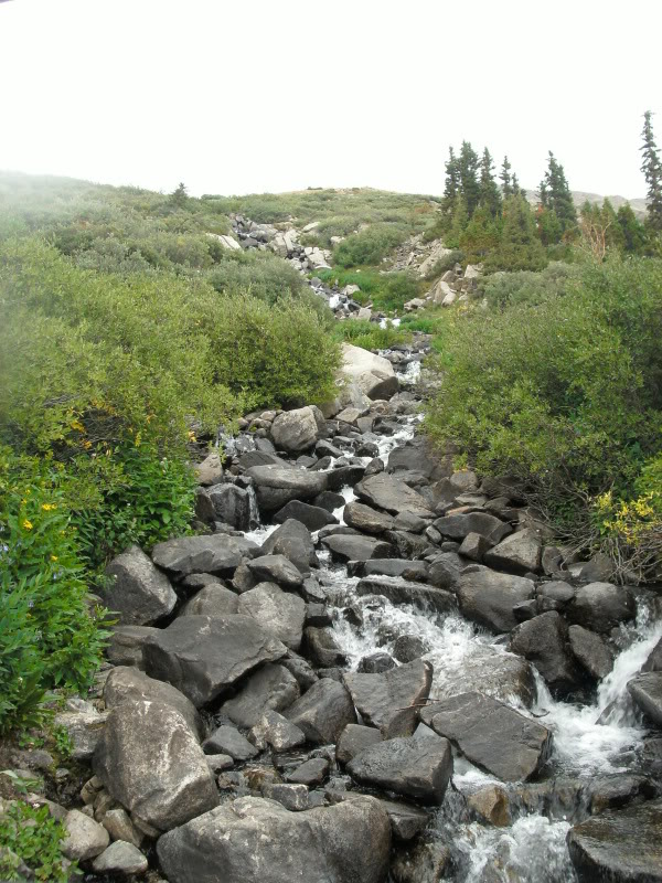 Name: wheelerLake45.jpg
Views: 258
Size: 187.3 KB