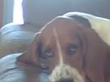 Name:  03-21-08_1802.jpg
Views: 44
Size:  3.0 KB
