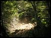 Tillamook Trail Run &amp; Warn Rep Winch Training(Video and pic heavy)-dscf3605.jpg