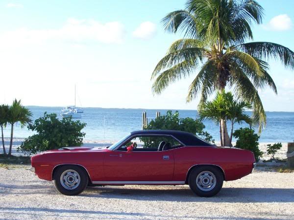 Name:  Cuda.jpg
Views: 50
Size:  52.1 KB