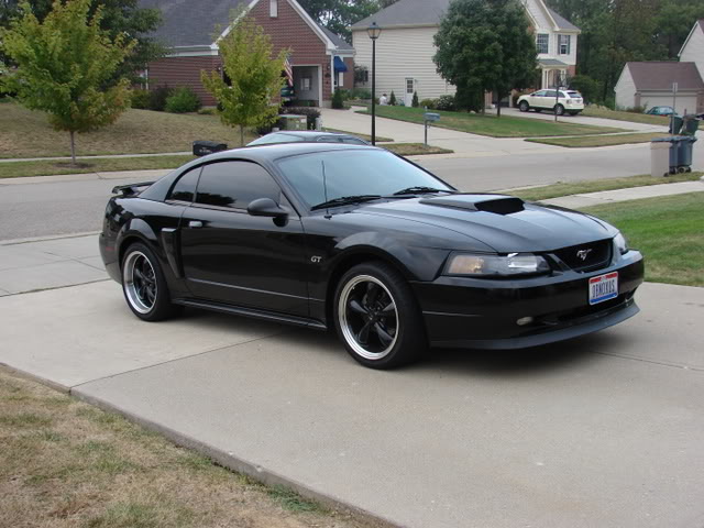 Name:  037-1.jpg
Views: 48
Size:  66.3 KB