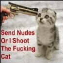 Name:  cat.jpg
Views: 41
Size:  4.9 KB