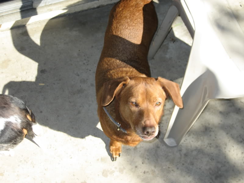 Name:  IMG_1431.jpg
Views: 67
Size:  57.7 KB