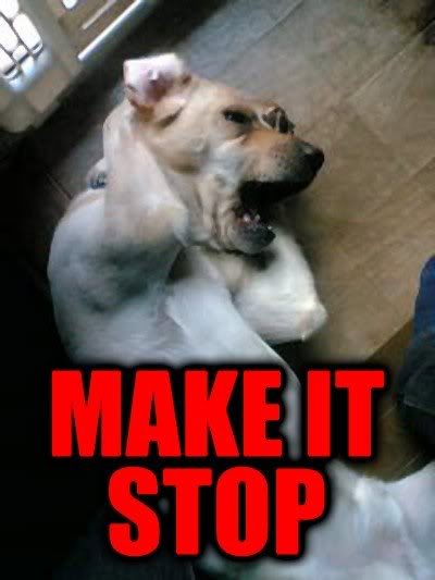 Name:  makeitstop.jpg
Views: 46
Size:  25.0 KB