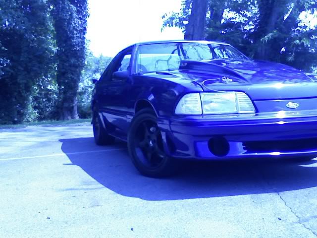 Name: eleanor-1.jpg
Views: 51
Size: 57.3 KB