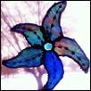 Glassstarfish Intro-glass-starfish.jpg