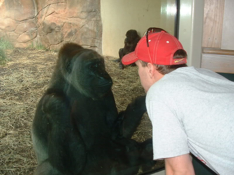Name:  DSCF0020.jpg
Views: 63
Size:  80.9 KB