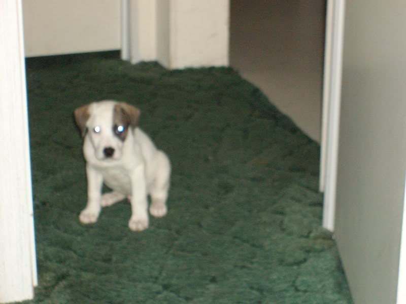 Name: SANY0012.jpg
Views: 34
Size: 34.0 KB