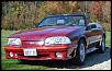 Hello Ford Enthusiasts-our-gt.jpg