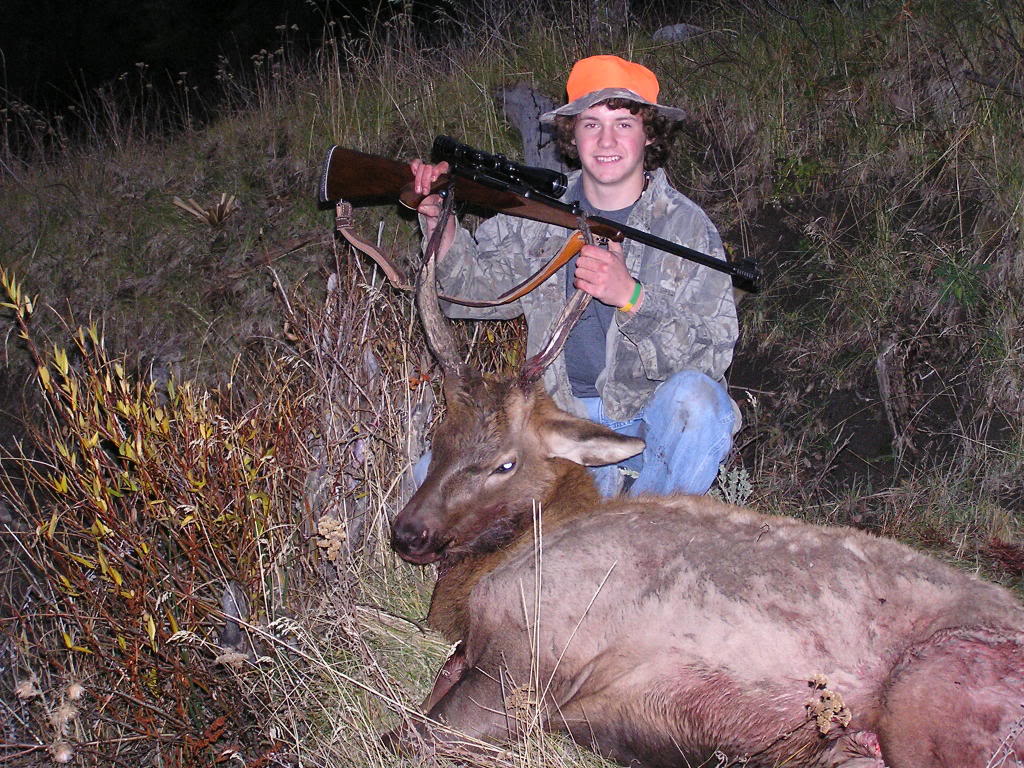 Name:  elk.jpg
Views: 47
Size:  224.6 KB