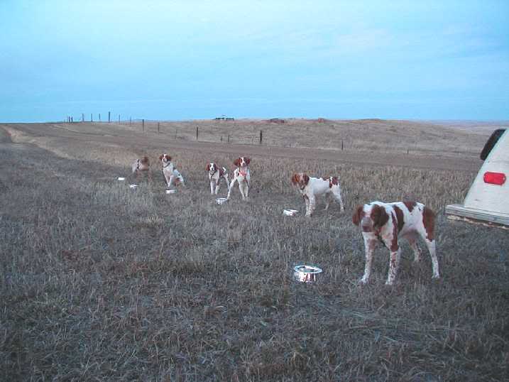 Name:  WestRiverchowlineDec2004.jpg
Views: 58
Size:  37.2 KB