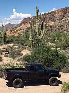 New to the site. Long time lurker. Mesa, AZ-cactus-ranger.jpg