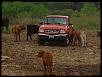 Howdy y'all-6e05da45.jpg