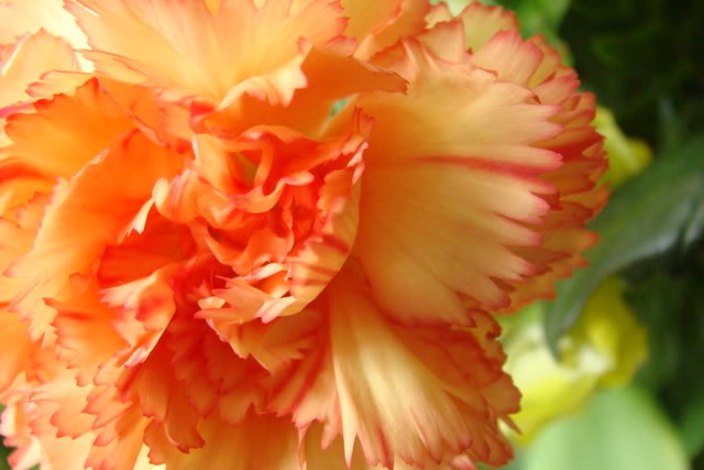 Name: DSC00148.jpg
Views: 100
Size: 45.3 KB