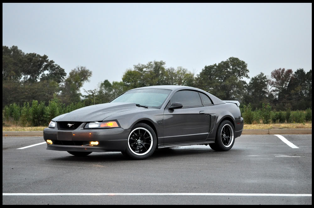 Name: DSC_0683copy.jpg
Views: 112
Size: 119.9 KB