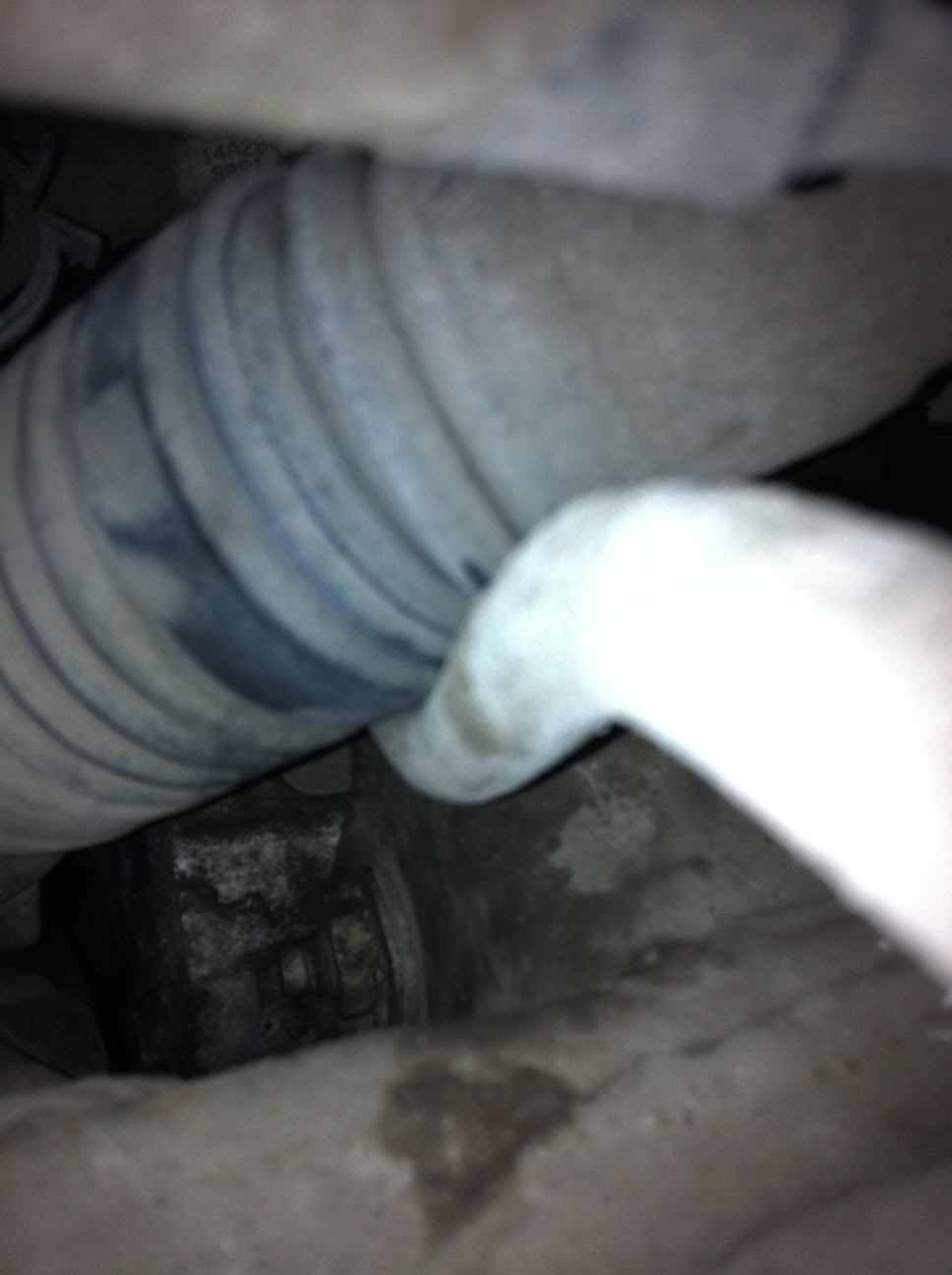 Name: photo2-29.jpg
Views: 268
Size: 73.7 KB